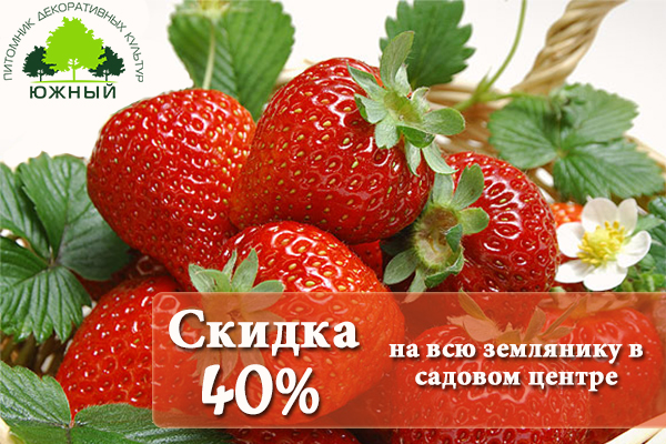 Земляника со скидкой.jpg Земляника со скидкой.jpg